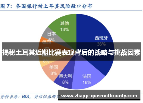 揭秘土耳其近期比赛表现背后的战略与挑战因素