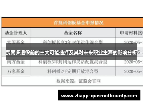 费南多退役前的三大可能选择及其对未来职业生涯的影响分析