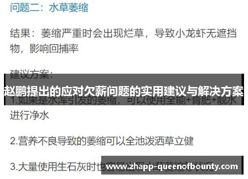 赵鹏提出的应对欠薪问题的实用建议与解决方案 赵鹏提出的应对欠薪问题的实用建议与解决方案